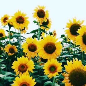 Meet your Posher, Jimena